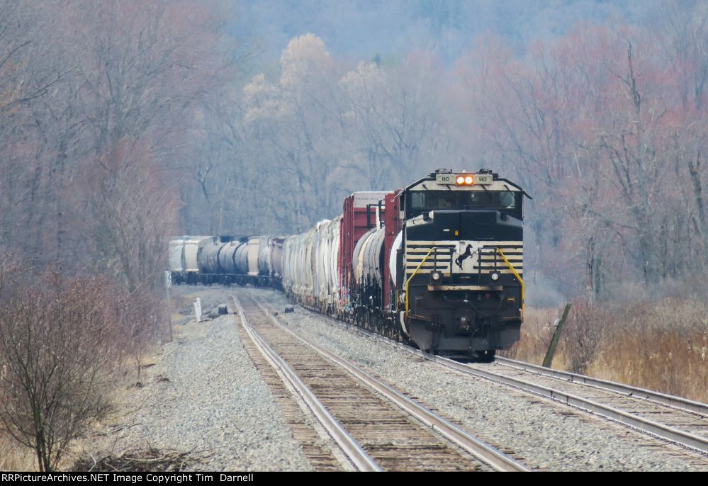 NS 1110 dpu on NS 310